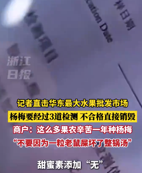 商户求助媒体为浙江杨梅正名 称不要因一粒老鼠屎坏了整个杨梅市场