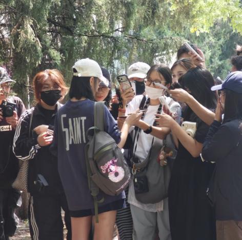 郭涛儿子石头北电落榜后读国际班 星二代难逃硬门槛