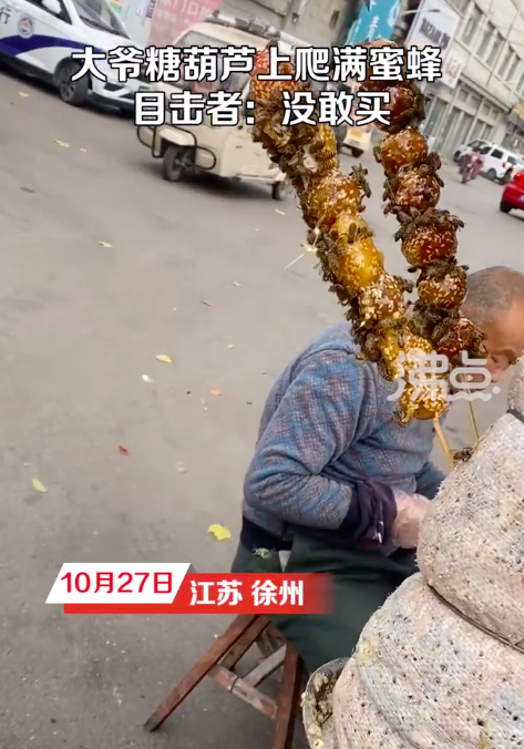 大爷卖的糖葫芦密密麻麻爬满蜜蜂 苍蝇：没人替我说话吗？