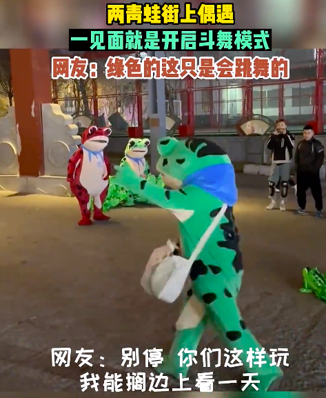 网友偶遇两只“青蛙”斗舞