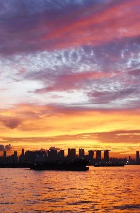 北京天边出现“玫瑰海” 晚霞如诗绚丽斑斓