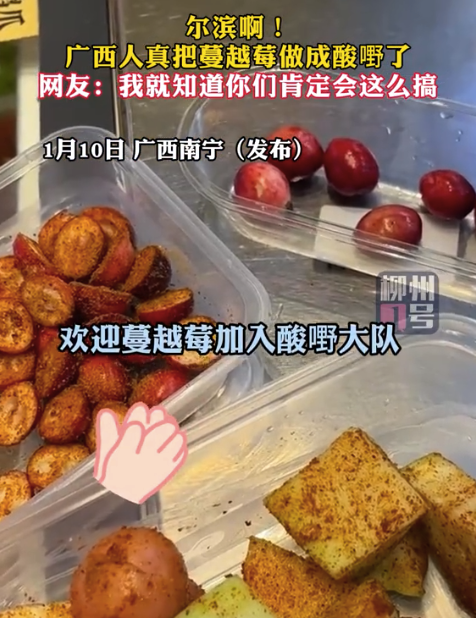 尔滨啊！快来看！广西人真把蔓越莓做成酸嘢了
