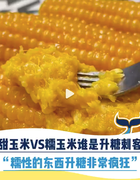 糯玉米和甜玉米谁是升糖刺客，原来如此！