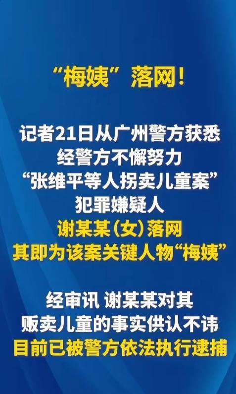 央视公布梅姨案细节 潜逃17年终落网