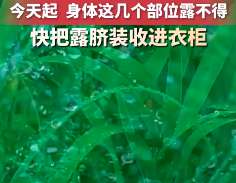 中医提醒白露后别再露脐露腰，白露再露身就白露了