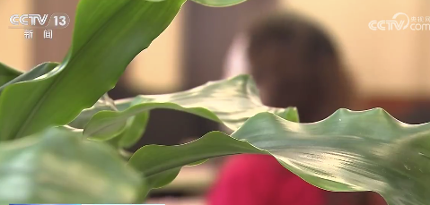 都到医院了还被医托骗进黑诊所：上海某中医馆每个工种都是演的