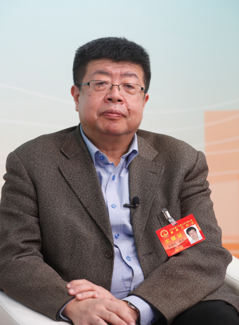 北京市人大代表、北京大学教授张颐武：历史遗存要在活化中保护