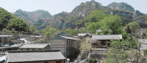 微视频｜总书记来到我的家