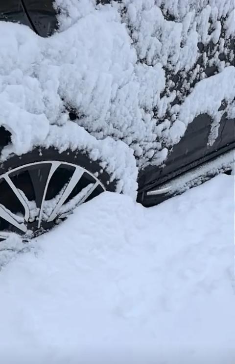 氣象局回應(yīng)青海祁連七月飛雪 高海拔地區(qū)正常天氣現(xiàn)象