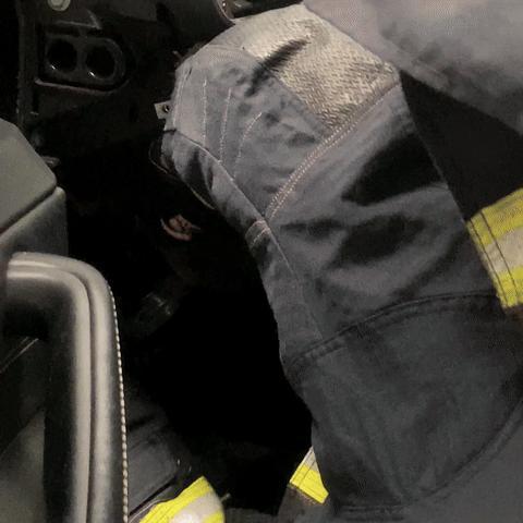 消防员从发动机舱中抓出保护动物竹鼠 斗智斗勇二十分钟