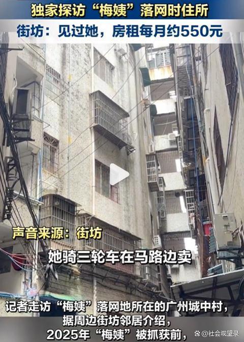 梅姨落网前影像被曝光 街坊：非常像 隐藏市井多年