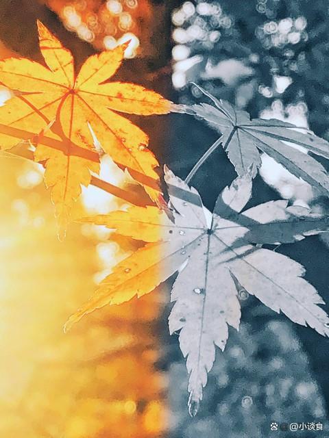 9月23日8时05分迎来秋分节气