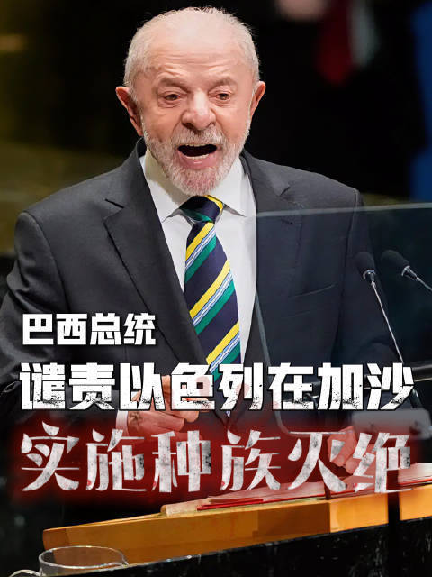 巴西总统谴责以在加沙实施种族灭绝