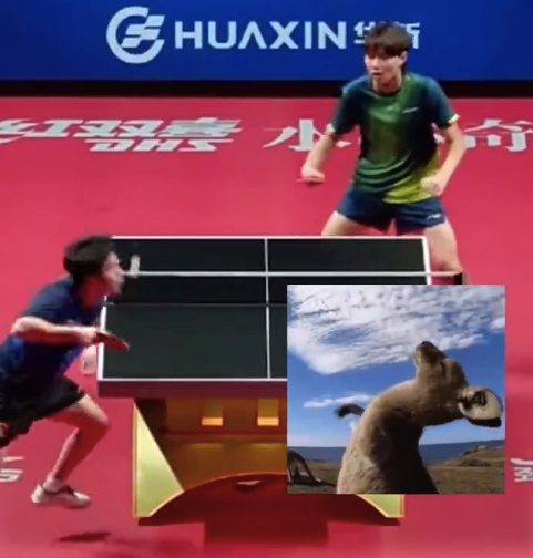 林诗栋回应学张煜东价值50万元发球：在他直播间学的