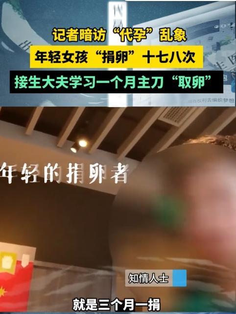 青岛代孕机构一女孩捐卵十七八次 灰色产业链曝光