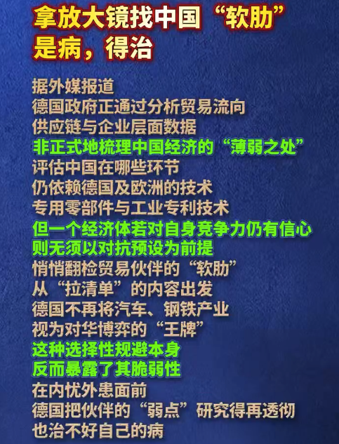 德国拿放大镜找中国“软肋”，是病，得治！