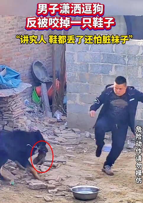 男子逗狗反被咬掉一只鞋