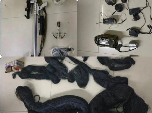 湖南新化查处一起危害野生动物案