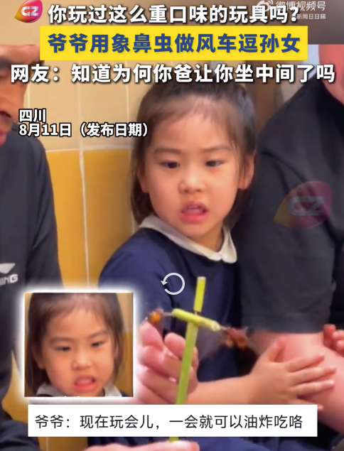 爷爷用象鼻虫做风车逗孙女 孙女被吓出表情包
