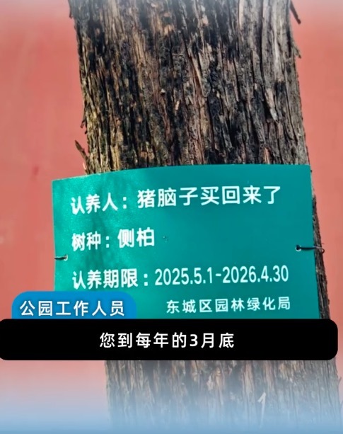 公园回应树木认领语走红 网友热评“既接地气又充满巧思”