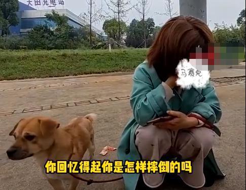酿下惨祸！女子带宠逆行狗子跳车引发交通事故