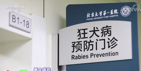 我国狂犬病95%来自狗咬伤 被猫握咬伤也要当心狂犬病