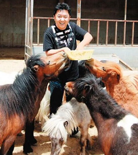 于謙的動(dòng)物園里養(yǎng)了一百多匹馬,，八十多只貓，三十多只狗,！