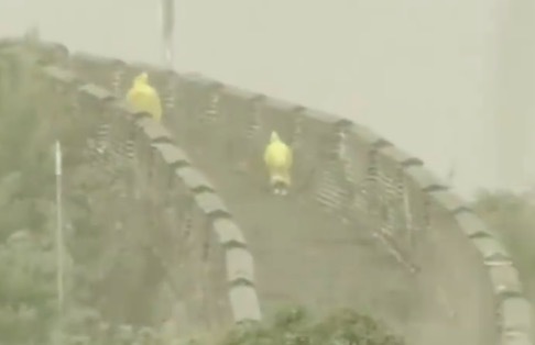 长城突降大雨 父子冒雨前行的身影让人触动