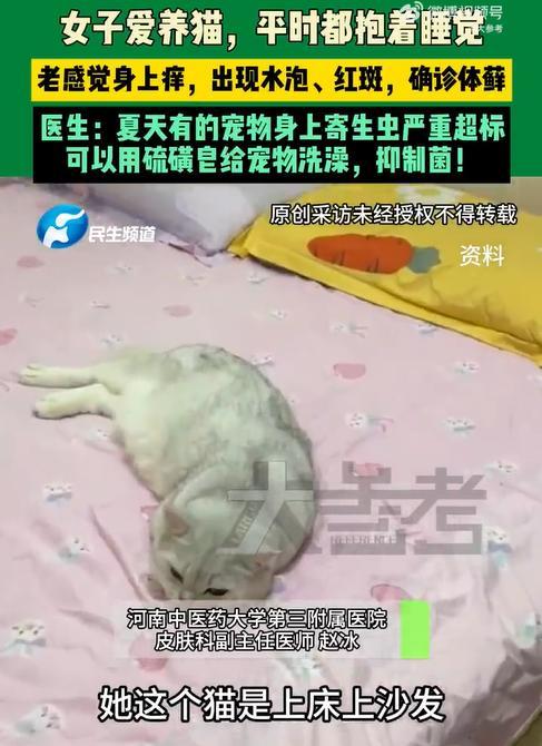 女子長期抱貓睡覺半年后確診體癬