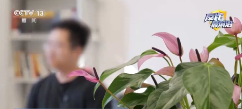 骗子用半个月陪留学生演了一出戏 “我对这个剧本深信不疑”