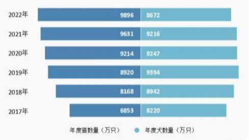 猫是如何取代狗 成为中国人的首宠 情感陪伴猫狗各有优势