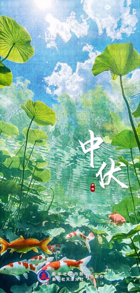 今天正式进入“加长版”中伏