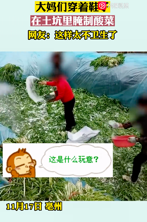 数名大妈穿鞋在土坑里腌酸菜 还敢这么脏这么来？
