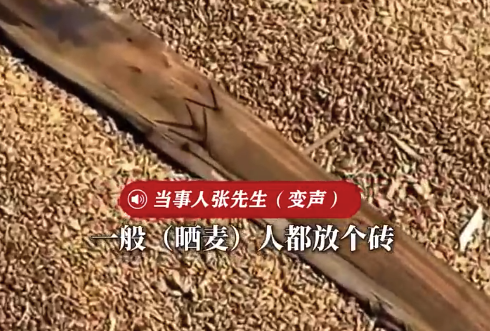 路面被占用晒麦还放带钉木板 当事人回应