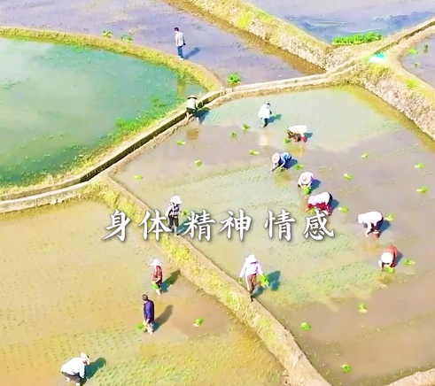 好好吃飯是對(duì)袁爺爺最好的懷念,！每一縷升起的炊煙，都是飄自人間的懷念