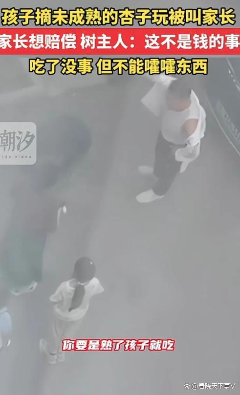 孩子摘没熟的杏玩被叫家长 教育比赔偿更重要