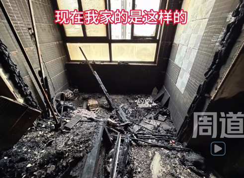 玩具充电自燃家毁宠亡 