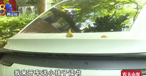 特斯拉新车被树枝砸坏车主追责物业 