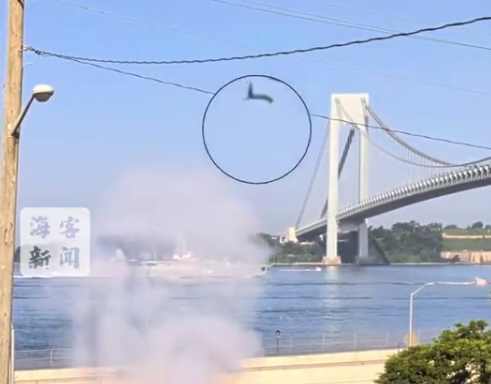美国陆军鸣放礼炮发出巨响 松鼠受惊落下