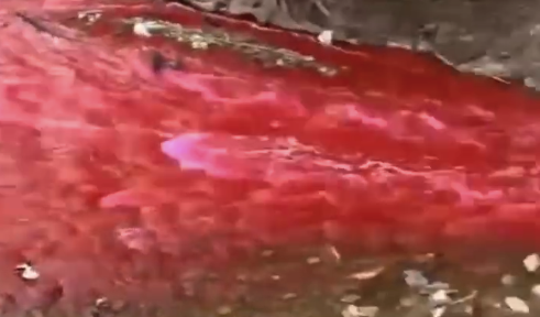 环保局回应贵州一河道河水变红：具体情况还在核查，目前水已经变清澈