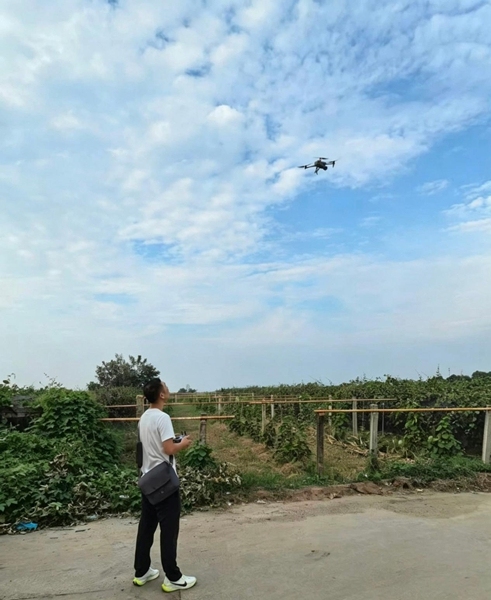 压实责任链条 空地一体巡防——眉县汤峪镇全力筑牢露天焚烧管控防线