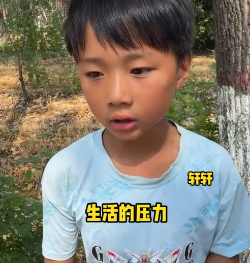 11岁男孩业余时间帮爷爷卖桃 暖心发言感动全网