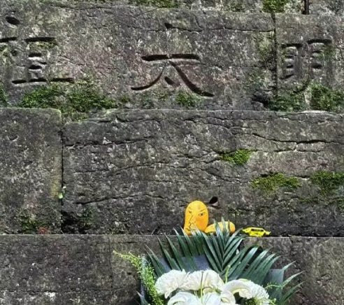 有人在明太祖墓前献了芒果...