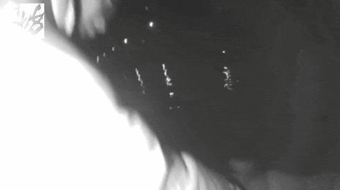 男子为情所困深夜跳河后获救 警民合力救援