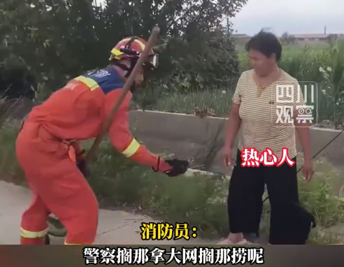 消防员救起幼鸟才发现它本就生活水中 