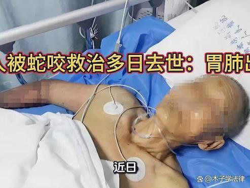 四川被蛇咬伤老人去世:胃肺出血 多重失误叠加悲剧