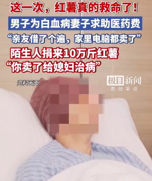 丈夫为救患白血病妻子卖红薯筹钱 匿名人士拟分批捐赠10万斤红薯