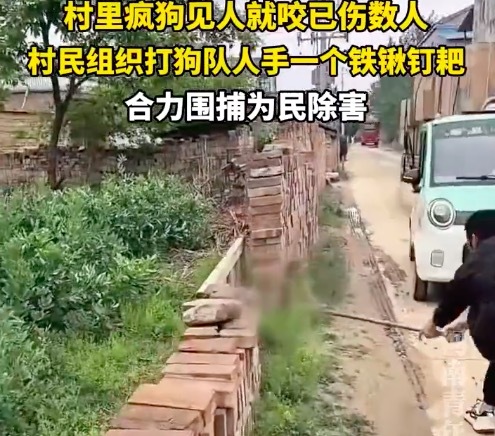 疯狗咬伤数人 村民合力围捕