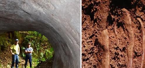 巴西发现1.3万年前史前隧道，科学家研究后认为：不是人类建造