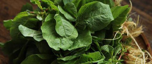 广东人吃惯的6种野菜，外地人却不爱，营养丰富，吃了让人惊艳！